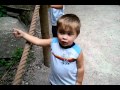 Roaring At The Dinosaur At The Detroit Zoo Lol