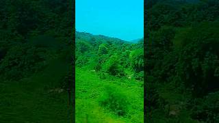 Download lagu Wo Ladki Yaad Aati Hai (Chhote Majid Shola) Ghazal Album Lyrics In Hindi mp3 Download lagu Wo Ladki Yaad Aati Hai (Chhote Majid Shola) Ghazal Album Lyrics In Hindi mp3