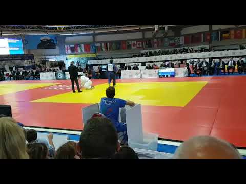 Final World Judo Championship Veterans 2017, M4, 90 kg
