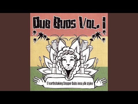 Radikal Dub Soundsystem - Dub Love