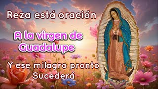 Pray this prayer to the Virgin of Guadalupe so that this urgent miracle may happen.
