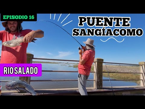 Visitamos al pueblo Arribeños y Fuimos al puente SANGÍACOMO, pesca sobre el rio salado // MJ-PESCA
