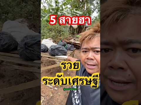 5 สายฮาหน้าจอ รวยระดับเศรษฐี #ดารา