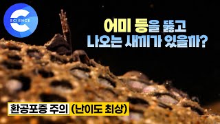 약혐)환공포증 난이도 최상 동영상;;