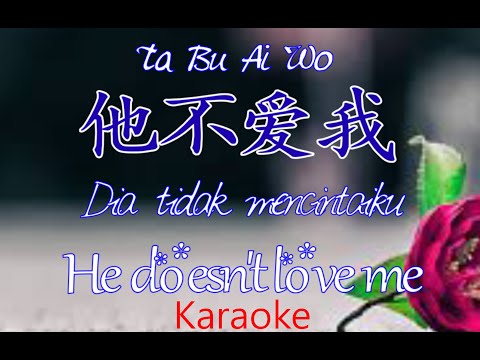 Ta Bu Ai Wo - 他不爱我 - Dia tidak mencintaiku - Karaoke - Terjemahan - Lyrics - Lirik