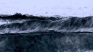 &#39;Everyone With Eyes Closed&#39;  -/rXc\-  &#39;Levo&#39;