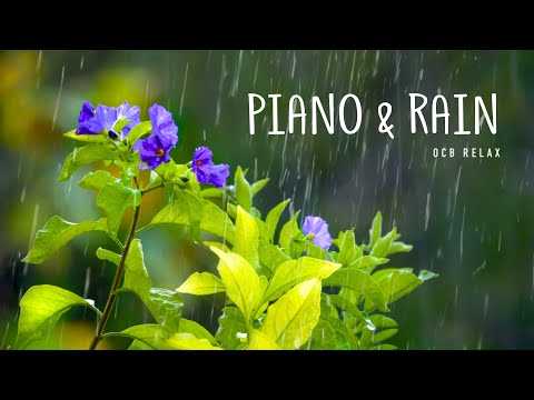 Relaxing Piano Music & Rain Sounds | Radio
