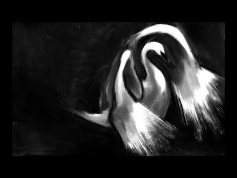 Montenegrian Swan - Qzama Quartet