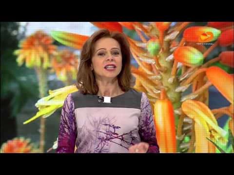 Ne Shtepine Tone, 26 Janar 2016, Pjesa 3 - Top Channel Albania - Entertainment Show