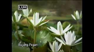 Download lagu Bujang Pegari - Ita Medin mp3