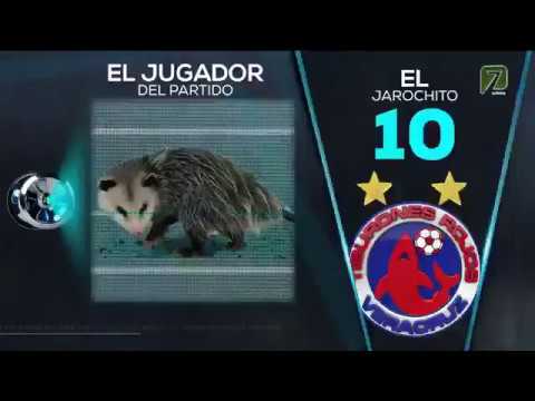 El Tlacuache | El jugador del partido Veracruz vs Puebla Clausura 2019