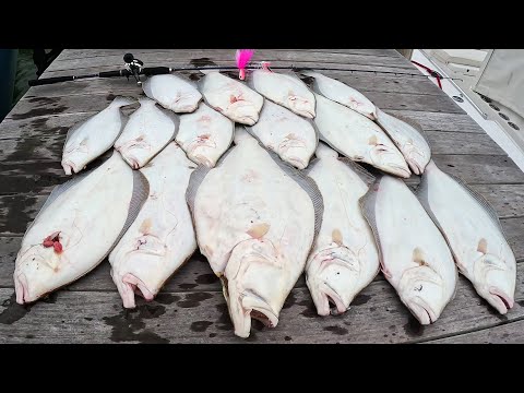 Big Fluke (Flounder) Crush Then CODFISH Jigging!