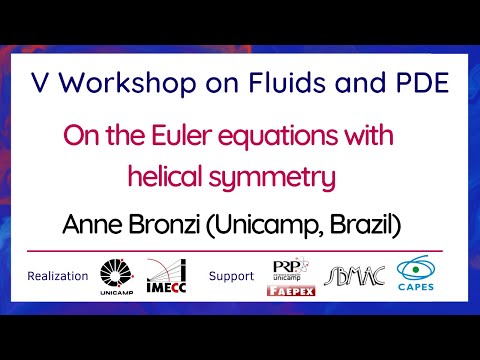 V Workshop on Fluids and PDE - September 30th, 2021 - Anne Bronzi