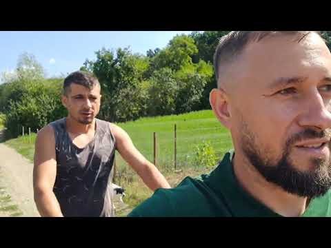 Costică a stricat buldoexcavatorul de la Căsuța din pădure 