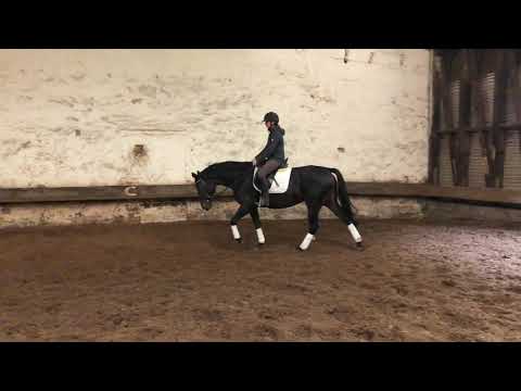 El Greco x Freudenfest