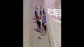 Download lagu Nicosia Race Club - Poker Stakes 2007 mp3 Download lagu Nicosia Race Club - Poker Stakes 2007 mp3