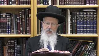 הגאון הרב אברהם יוסף שליט"א מדוע לא קוראים הלל בחג הפורים (הערוץ של הרב אברהם יוסף) - התמונה מוצגת ישירות מתוך אתר האינטרנט יוטיוב. זכויות היוצרים בתמונה שייכות ליוצרה. קישור קרדיט למקור התוכן נמצא בתוך דף הסרטון