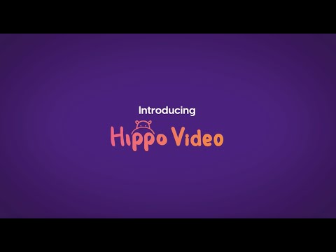 What is Hippo Video - An Overview