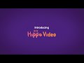 What is Hippo Video - An Overview