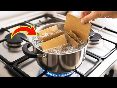 Alte Pappe nicht wegwerfen! Die meisten Menschen würden sich das nie vorstellen!