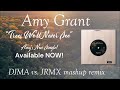 Amy Grant - Trees We'll Never See (DJMA vs  JRMX mashup)