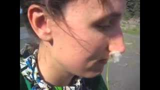 lucky dragons "hello new friend"