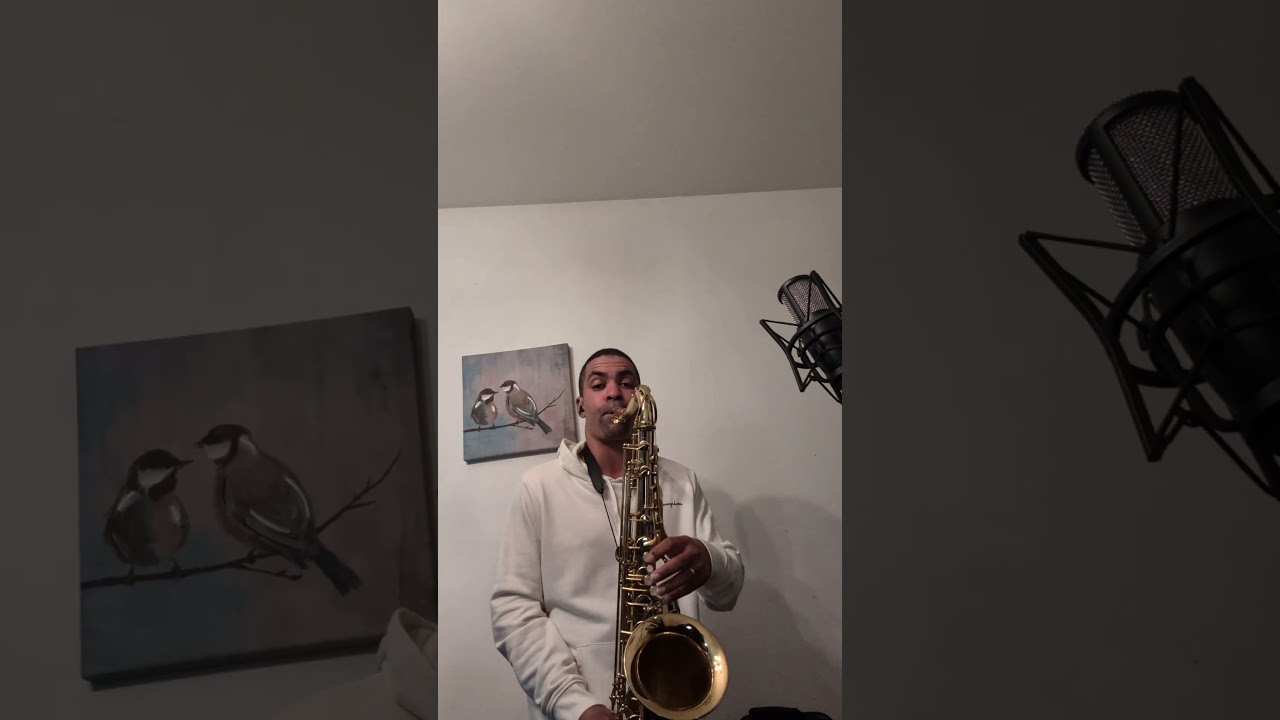Promotional video thumbnail 3 for Alfredo - Live Saxophone