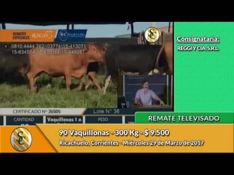 29-03-17 - Ventas del Remate Televisado de Reggi y Cia S R L - Corrientes