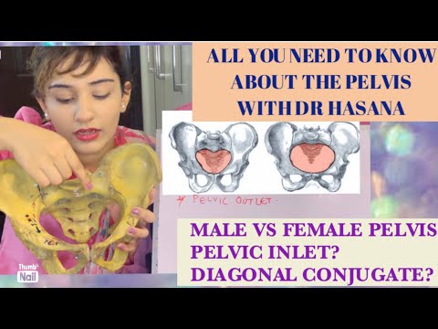 All you need to know about PELVIS BONE ANATOMY in 3D | Pelvimetry Diameters Landmarks EXPLAINED