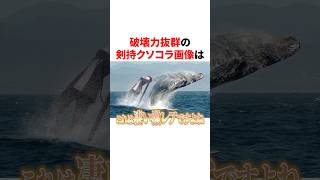 破壊力抜群の剣持クソコラ画像　VTuber#にじさんじ#雑学#豆知識