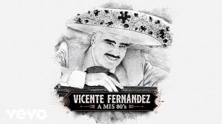 Vicente Fernández - Cielo Rojo (Cover Audio)