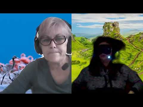 HIPNOZA REGRESIVA.RO-1647.Ady,Suflet fragm.si unif.Sinelor 7,9,12 D.E. LASCU coord ELa tel.