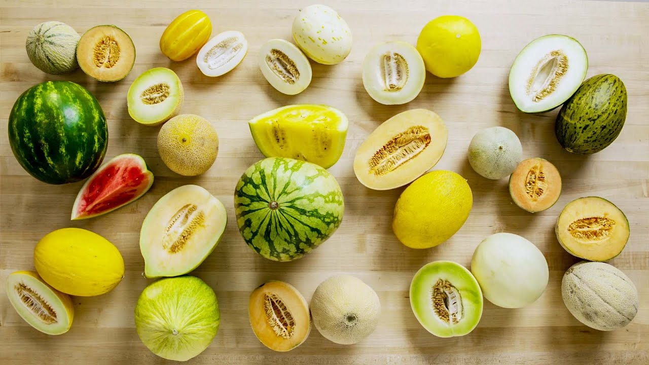 Trying Every Type Of Melon | The Big Guide | Epicurious