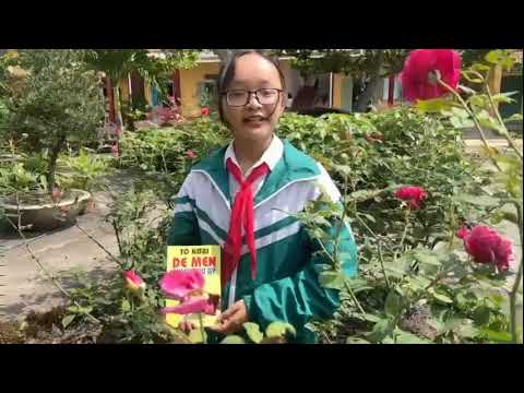 B01367 - Nguyễn Thị Quỳnh Thơm - Dế Mèn phiêu lưu kí