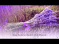 [Vietsub+kara] Donde Voy / Tears - Chyi Yu ...