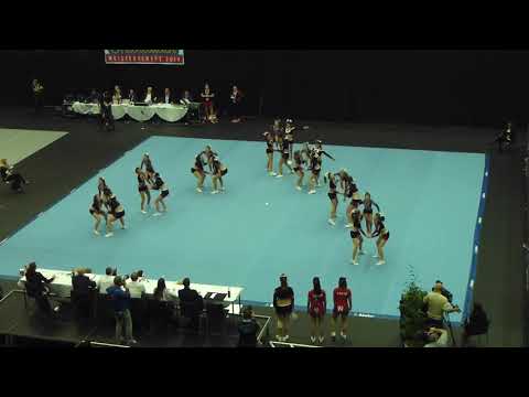 Red Wings Winglets - Österreichische Cheerleader Meisterschaft 2014