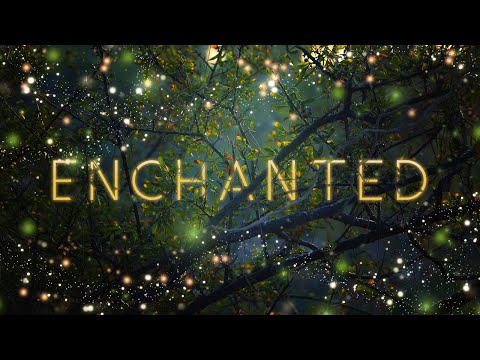 Audiomachine Curated Collection - Enchanted