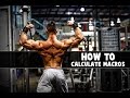 How to Calculate Macros | Tips to Back Training | Superset City