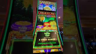 NEW SLOT ! #wolfrun #slotmachine #bigwin #lasvegas #casino