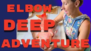 Catch of the Day: A Deep Dive Surprise! | Florida Keys Travel Vlog