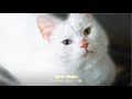 Standing Egg - You (Lyric Video)