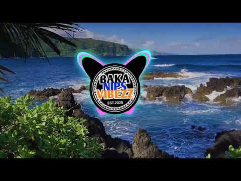 SAFE [SOUTHSIDE MASHUP🇻🇺] 2025