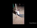 Funny Nagin Dance In India