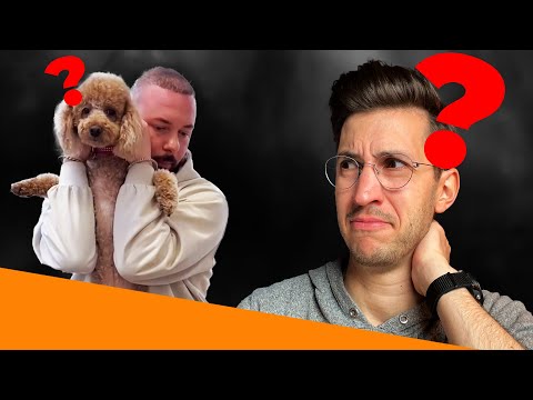 Der Knochenknacker entlarvt: Tierchiropraktik ohne Ausbildung