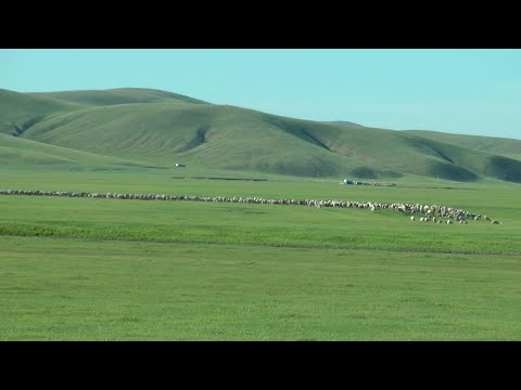 2013內蒙古呼倫貝爾之天堂草原