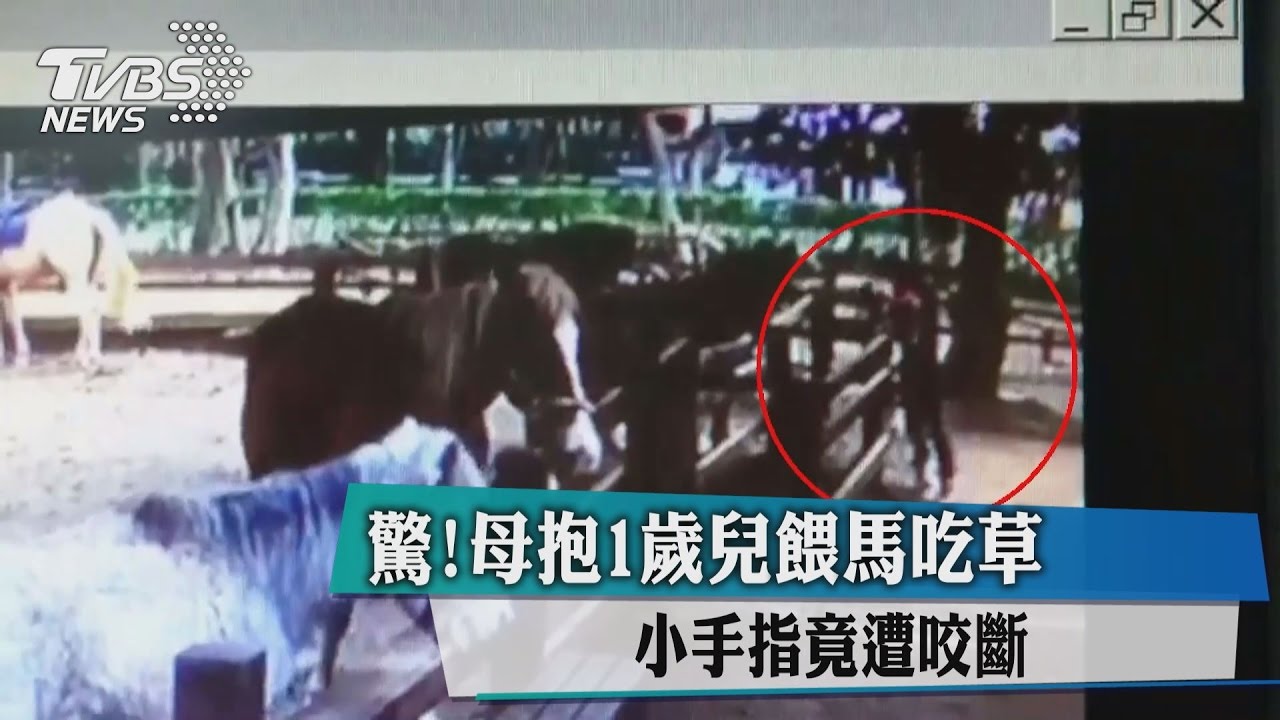 驚!母抱1歲兒餵馬吃草 小手指竟遭咬斷