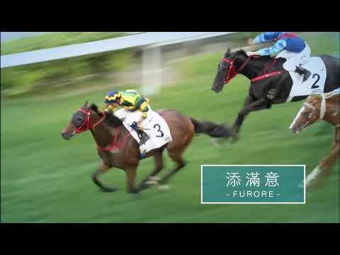 [Citi Hong Kong Gold Cup 2020]【2nd Leg of the Triple Crown 】Citi Hong Kong Gold Cup 2020