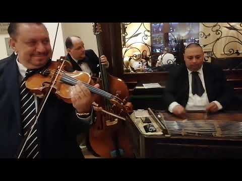 Csicsó József "Lehullot a rózsa levél" Szószté mange kadal hurde love. Budapest InterContinental