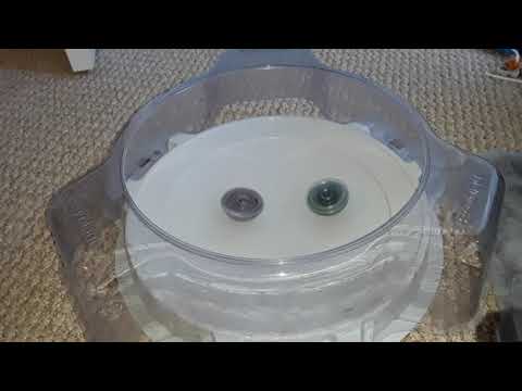 Takara Tomy Beyblade Burst Dual Layer Battle: Kaiser Kerbeus L.P. v.s. Wild Wyvern V.O.