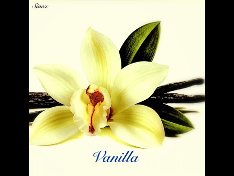 Sinex - Vanilla (Official Music Video) [Psytrance]